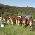 DSCN0879