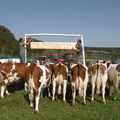 DSCN0887