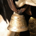 DSCN0918