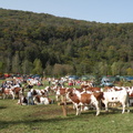DSCN0924