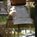 DSCN0936