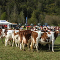 DSCN0945