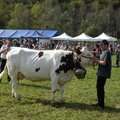 DSCN0962