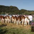 DSCN0970
