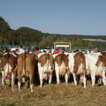 DSCN0977