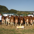 DSCN0985