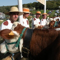 DSCN0996