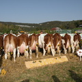 DSCN1002