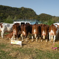 DSCN1007