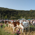 DSCN1015