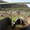 DSCN1027