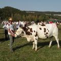 DSCN1054