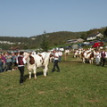DSCN1074