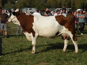 DSCN1082