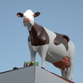 DSCN1086