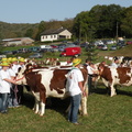 DSCN1124