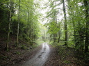 DSCN2028