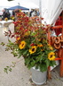 DSCN1341