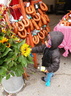 DSCN1344