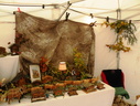 DSCN1354