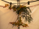 DSCN1355
