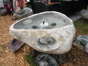 DSCN1363