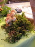 DSCN1484