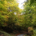 DSCN1747
