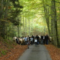 DSCN1774