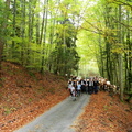 DSCN1776