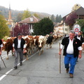 DSCN1871
