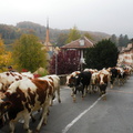 DSCN1875
