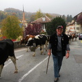DSCN1882