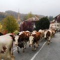 DSCN1889
