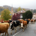DSCN1890