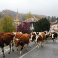 DSCN1891
