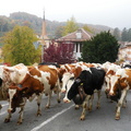 DSCN1892
