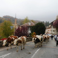 DSCN1894