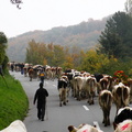 DSCN1912