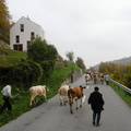 DSCN1920