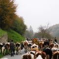 DSCN1924