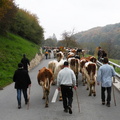 DSCN1928