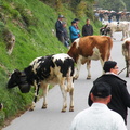 DSCN1933