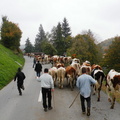 DSCN1938