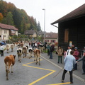 DSCN1958