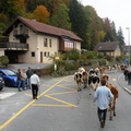 DSCN1960