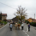 DSCN1966