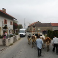 DSCN1970
