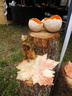 DSCN2141