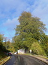 P1160815
